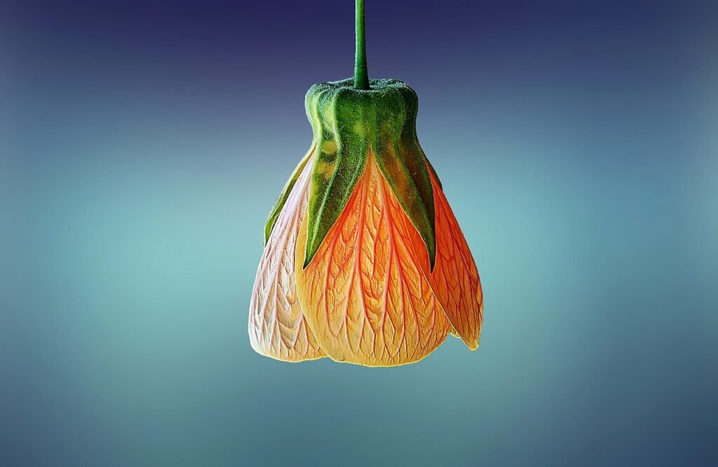 Floral Trends: Embracing the Latest Styles and Innovations